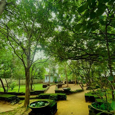 Twin Blocks Nature Resort Anuradhapura Εξωτερικό φωτογραφία